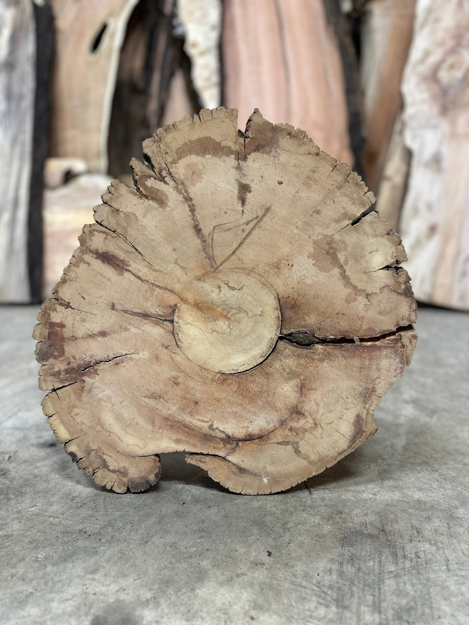 LiveEdge Bristlecone Pine | Bristlecone Pine | Hamilton Lee Supply