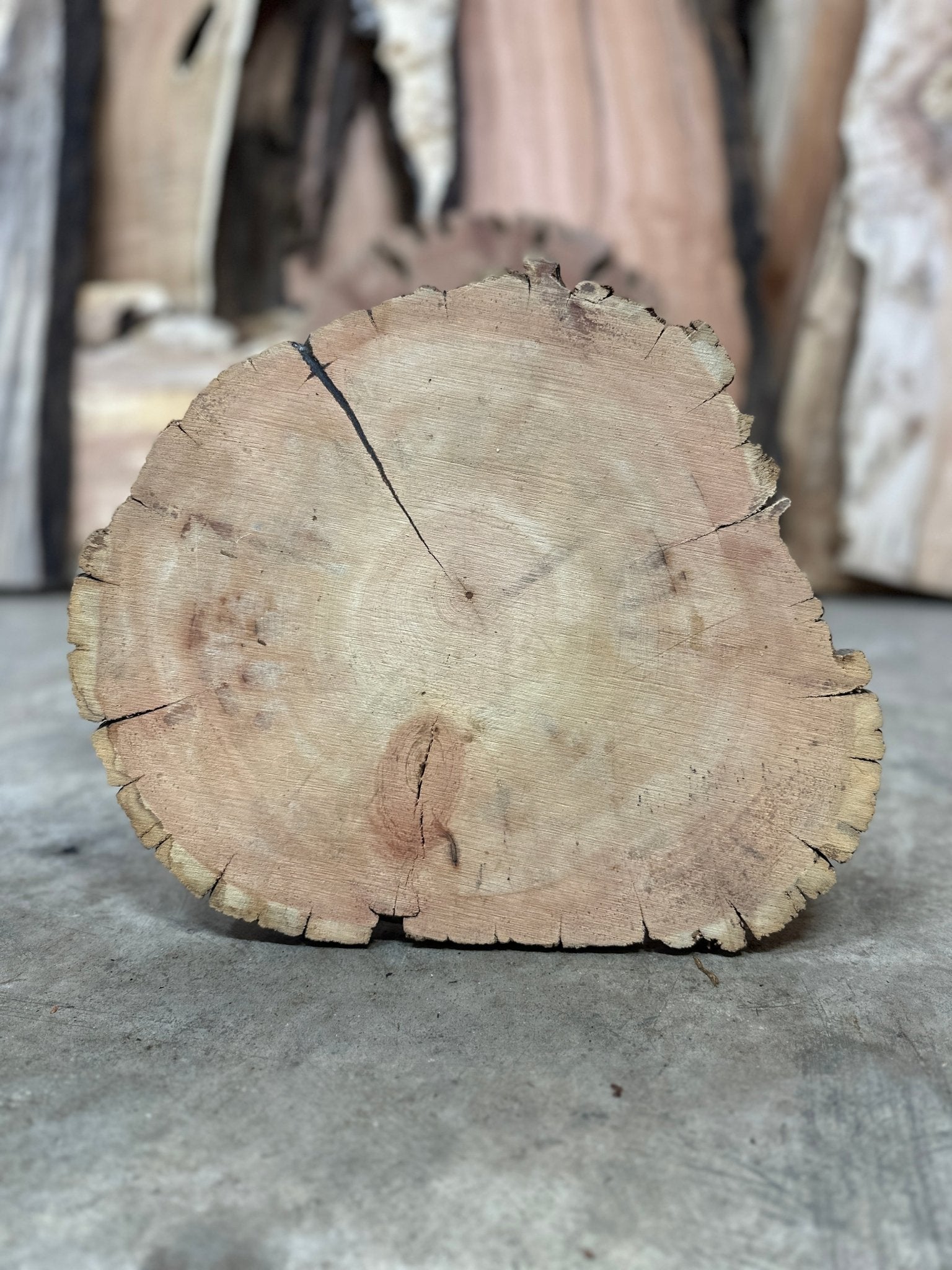 LiveEdge Bristlecone Pine | Bristlecone Pine | Hamilton Lee Supply