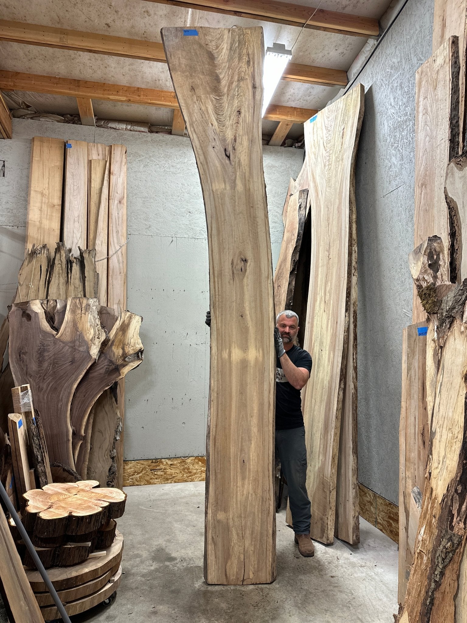 LiveEdge Cedar Elm | Cedar Elm | Hamilton Lee Supply