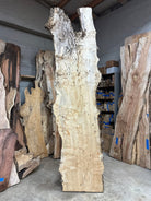 LiveEdge Cottonwood | Cottonwood | Hamilton Lee Supply