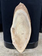 LiveEdge Elm | Elm | Double Diamond