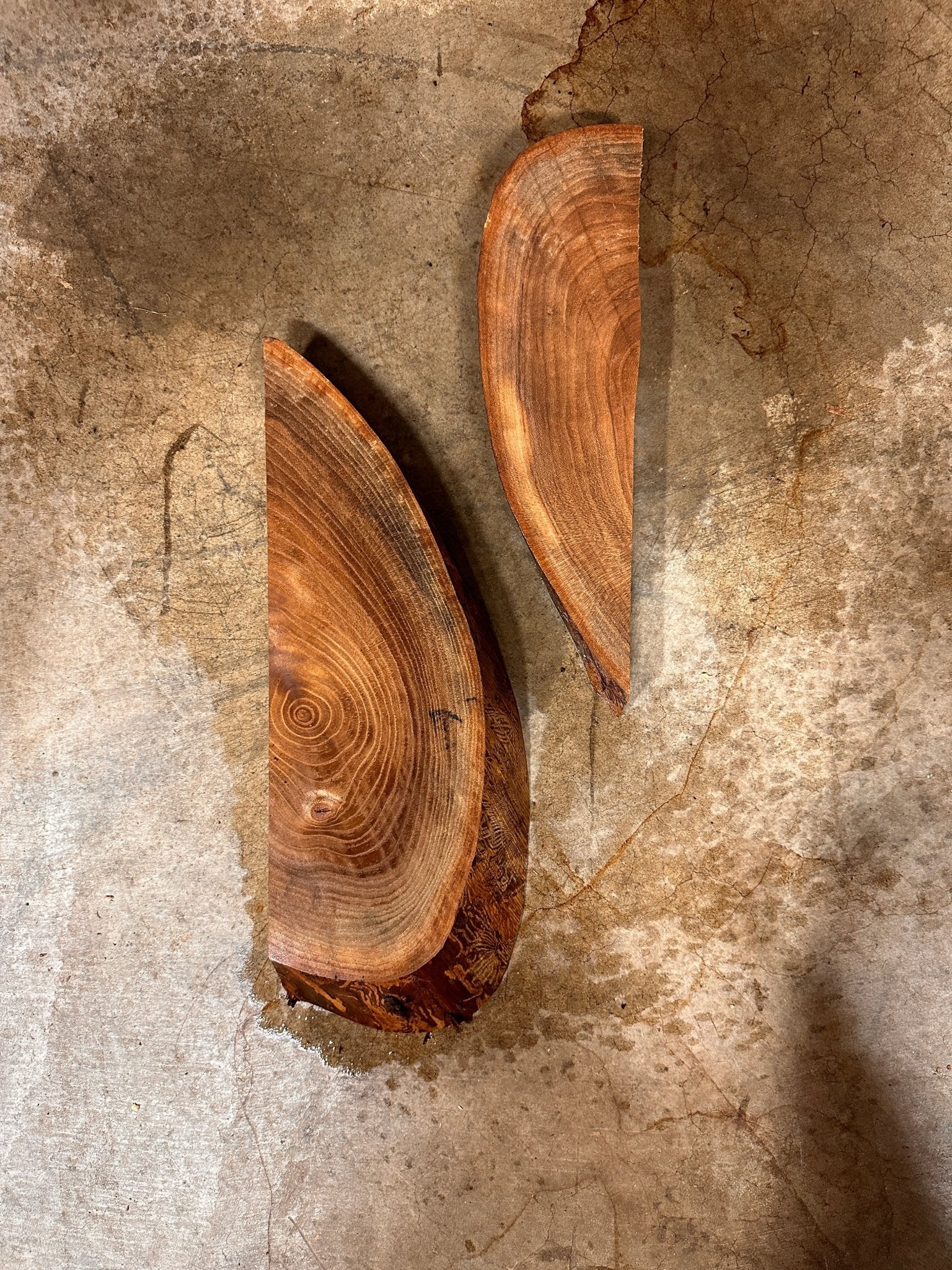 LiveEdge Elm | Elm | Double Diamond