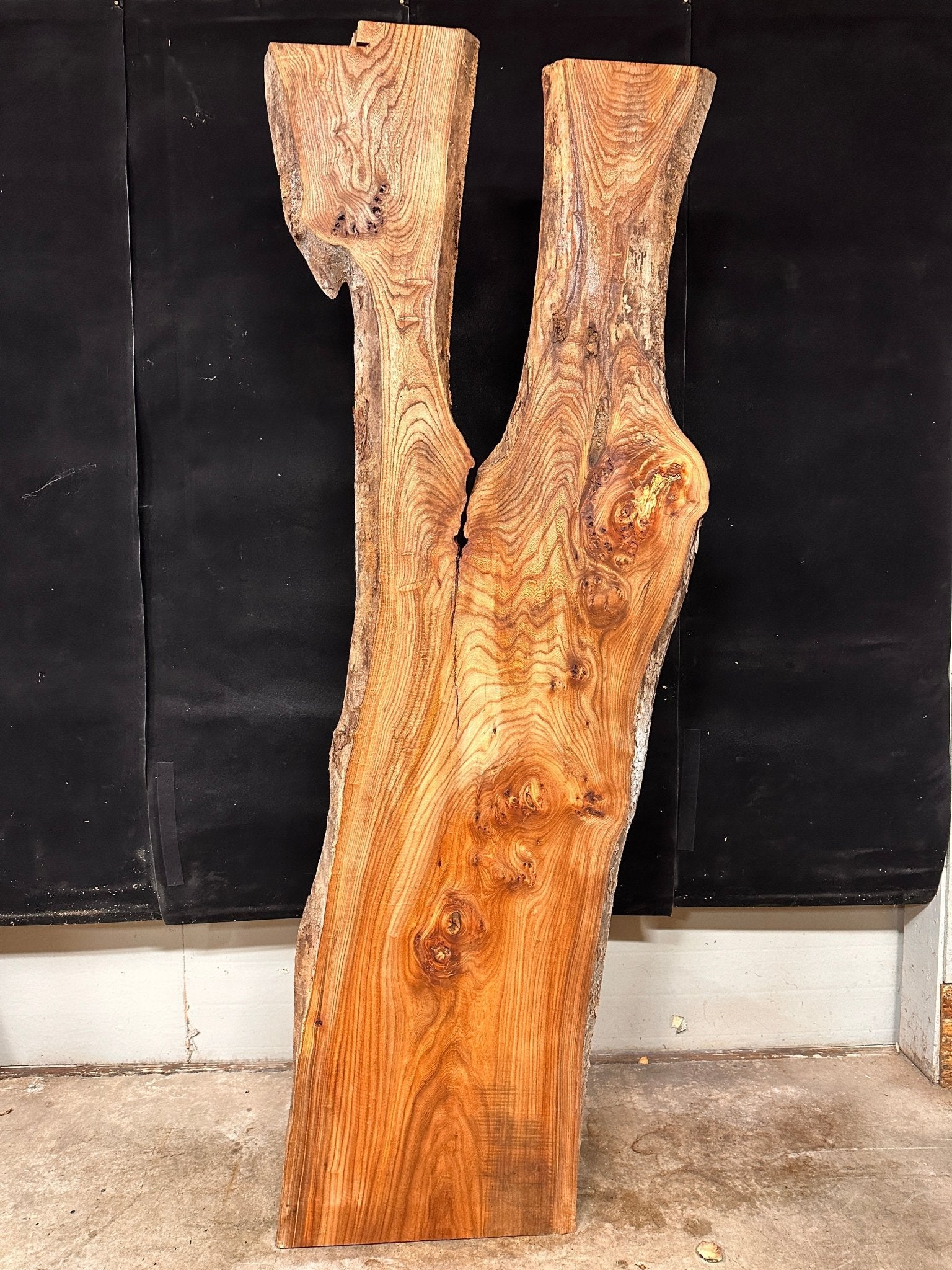 LiveEdge Elm | Elm | Double Diamond | BGDDELM667