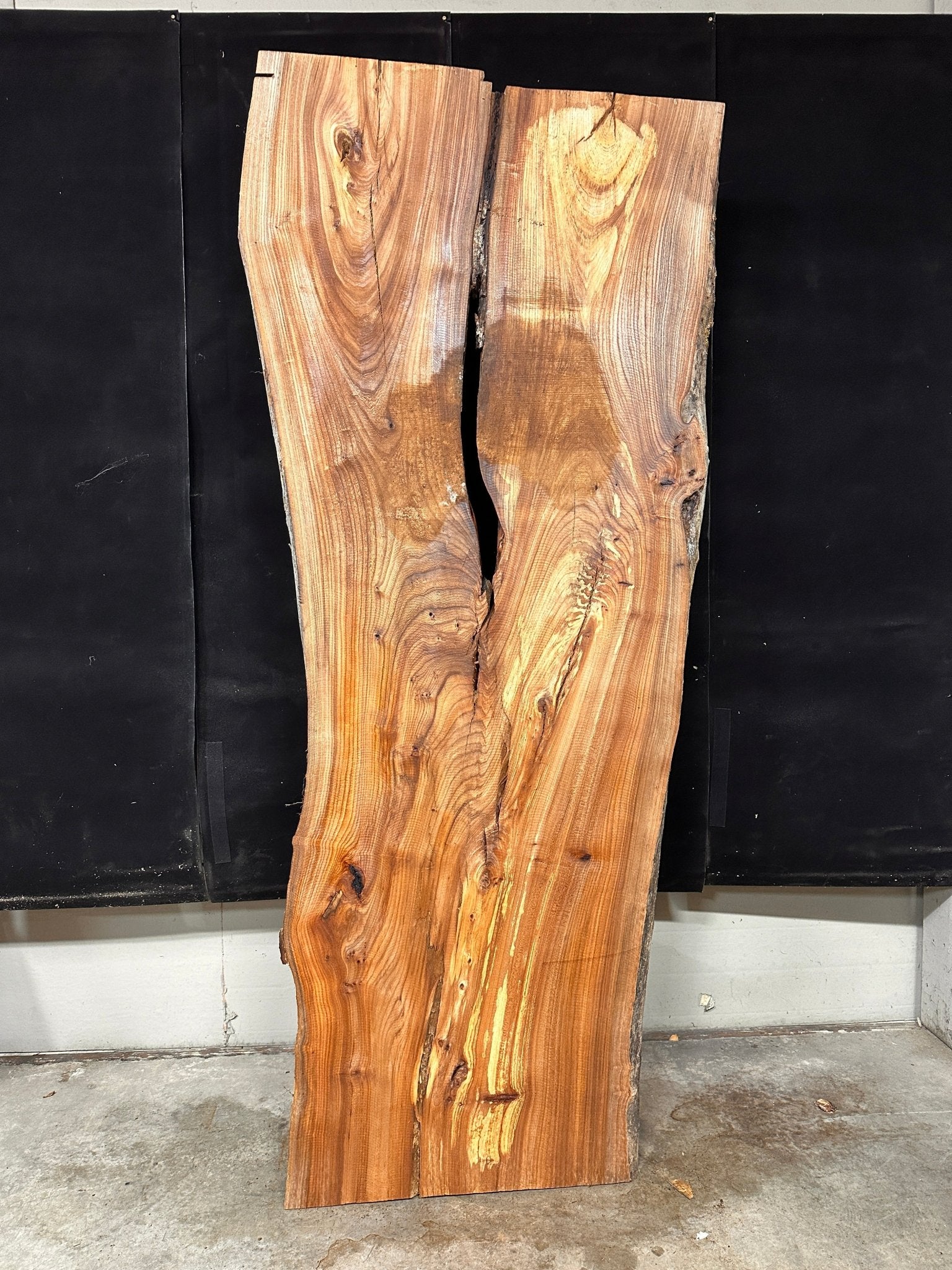 LiveEdge Elm | Elm | Double Diamond | BGDDELM671