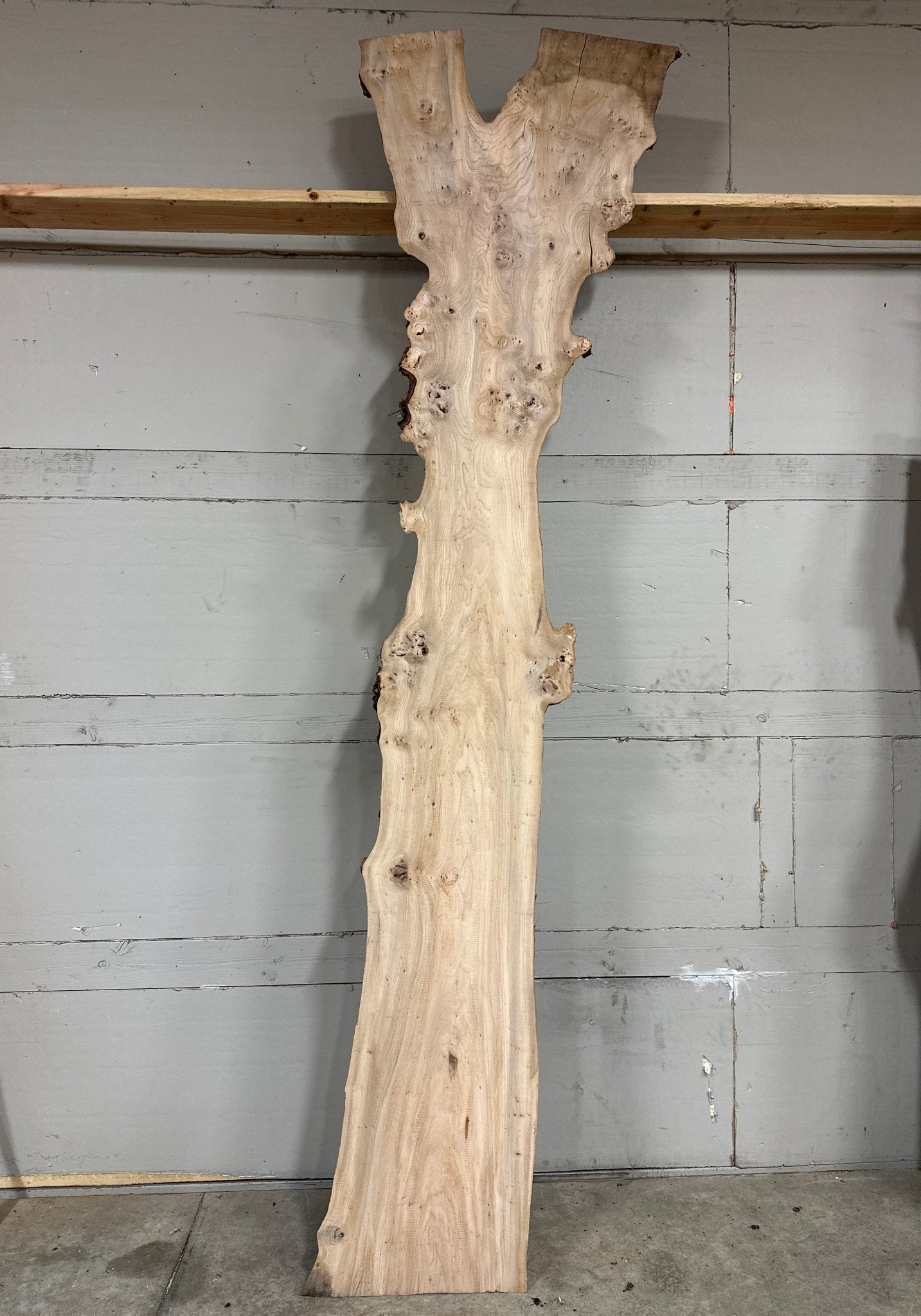 LiveEdge Elm | Elm | Double Diamond | BGDDELM713