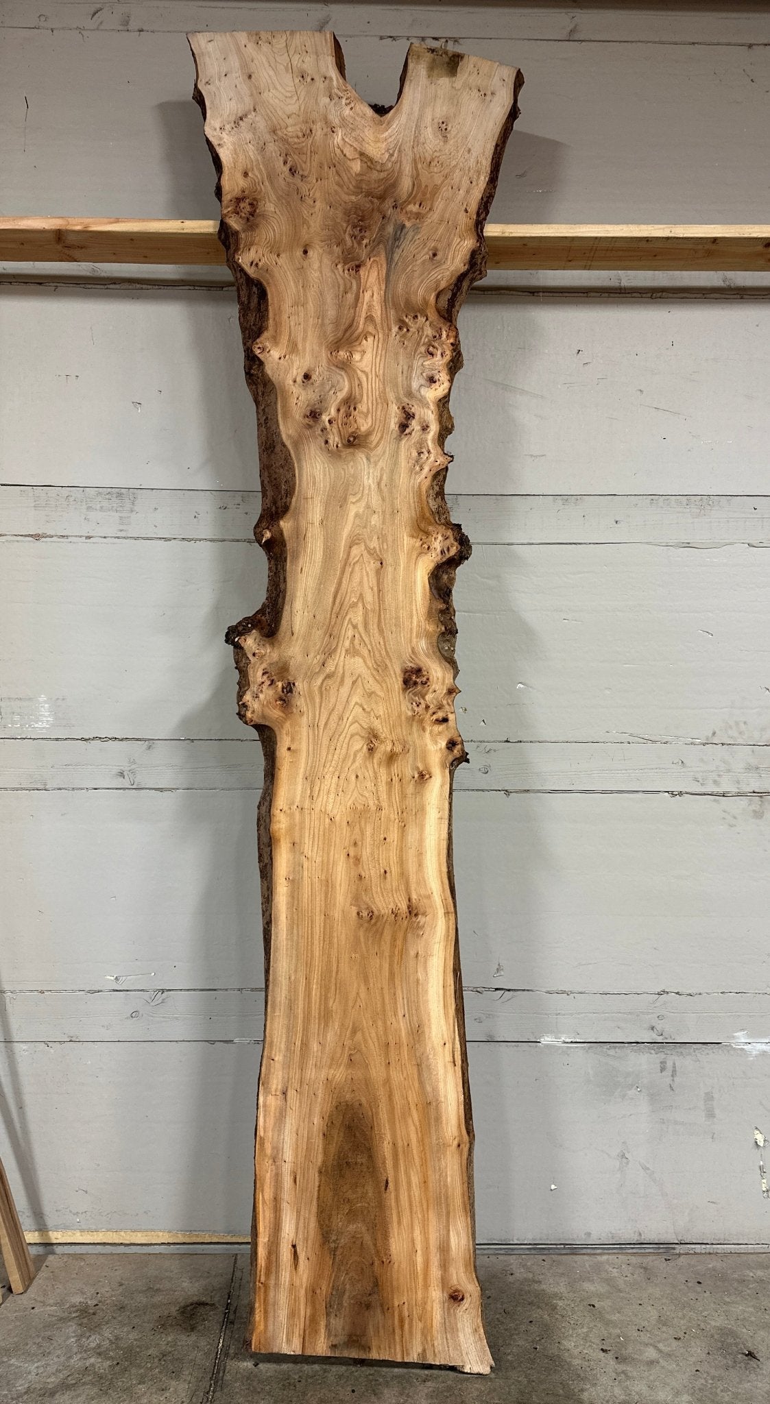 LiveEdge Elm | Elm | Double Diamond | BGDDELM714