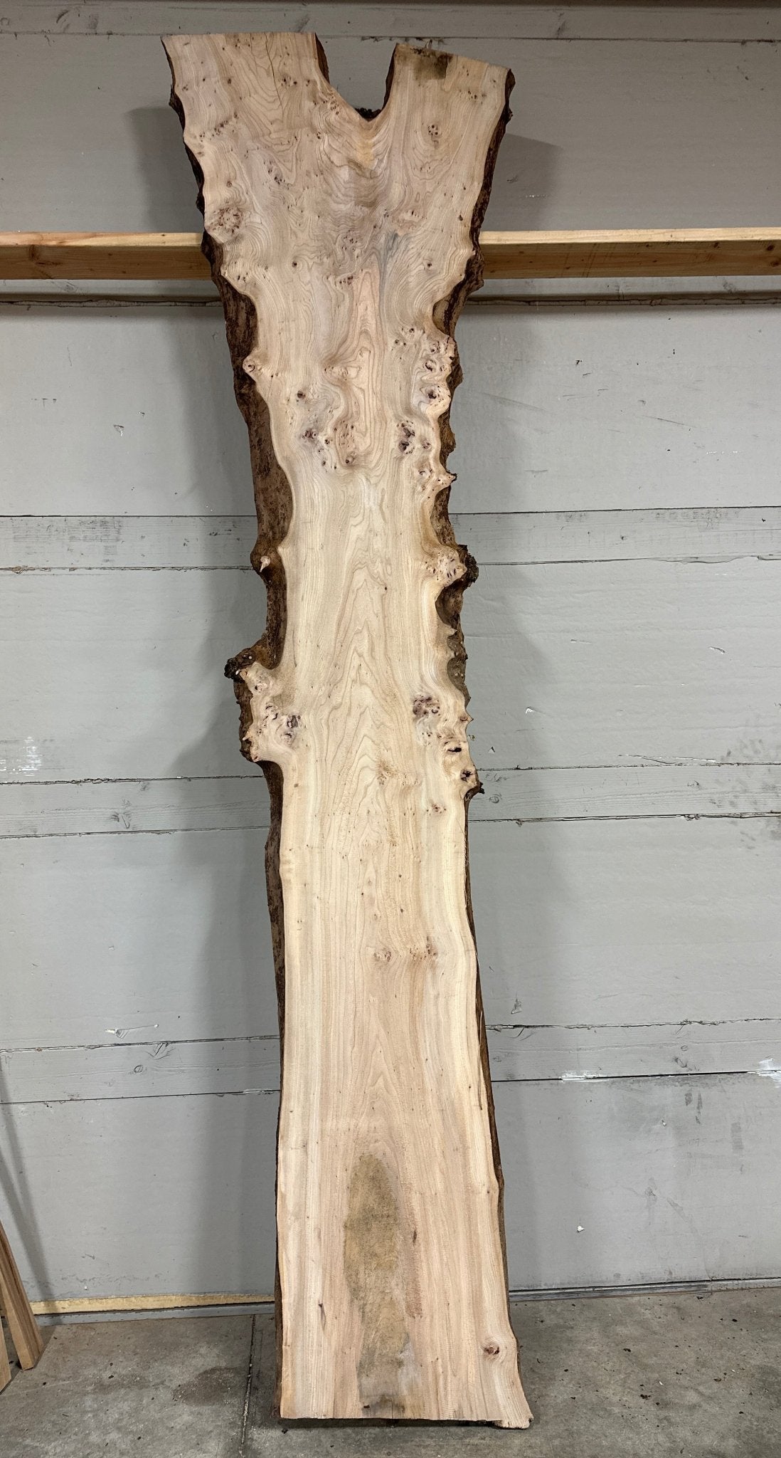 LiveEdge Elm | Elm | Double Diamond | BGDDELM714