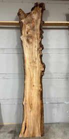 LiveEdge Elm | Elm | Double Diamond | BGDDELM726