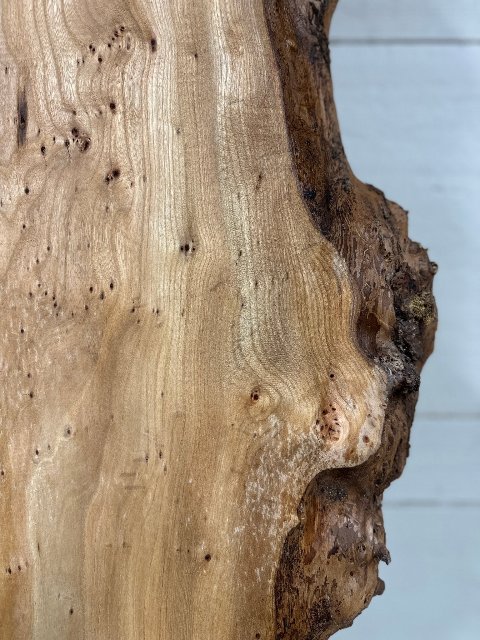 LiveEdge Elm | Elm | Double Diamond | BGDDELM726