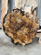 LiveEdge Mappa Burl Cookie | Mappa Burl | Double Diamond