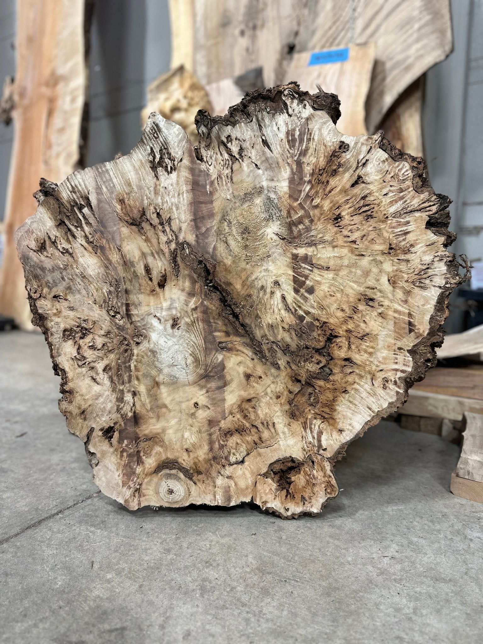 LiveEdge Mappa Burl Cookie | Mappa Burl | Double Diamond