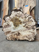 LiveEdge Mappa Burl Cookie | Mappa Burl | Double Diamond