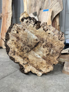 LiveEdge Mappa Burl Cookie | Mappa Burl | Double Diamond