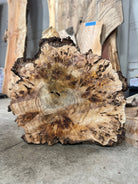 LiveEdge Mappa Burl Cookie | Mappa Burl | Double Diamond