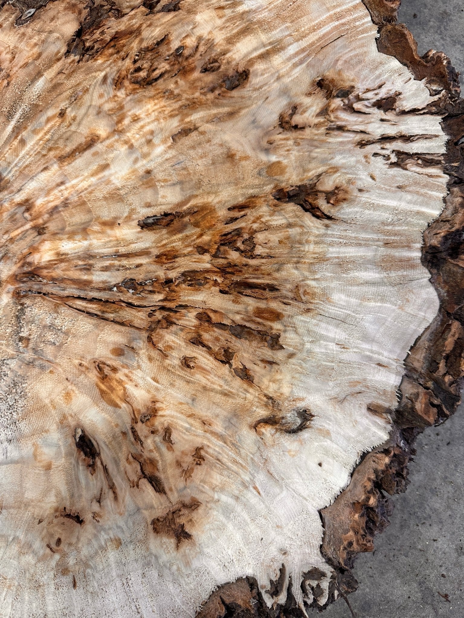 LiveEdge Mappa Burl | Mappa Burl | Double Diamond