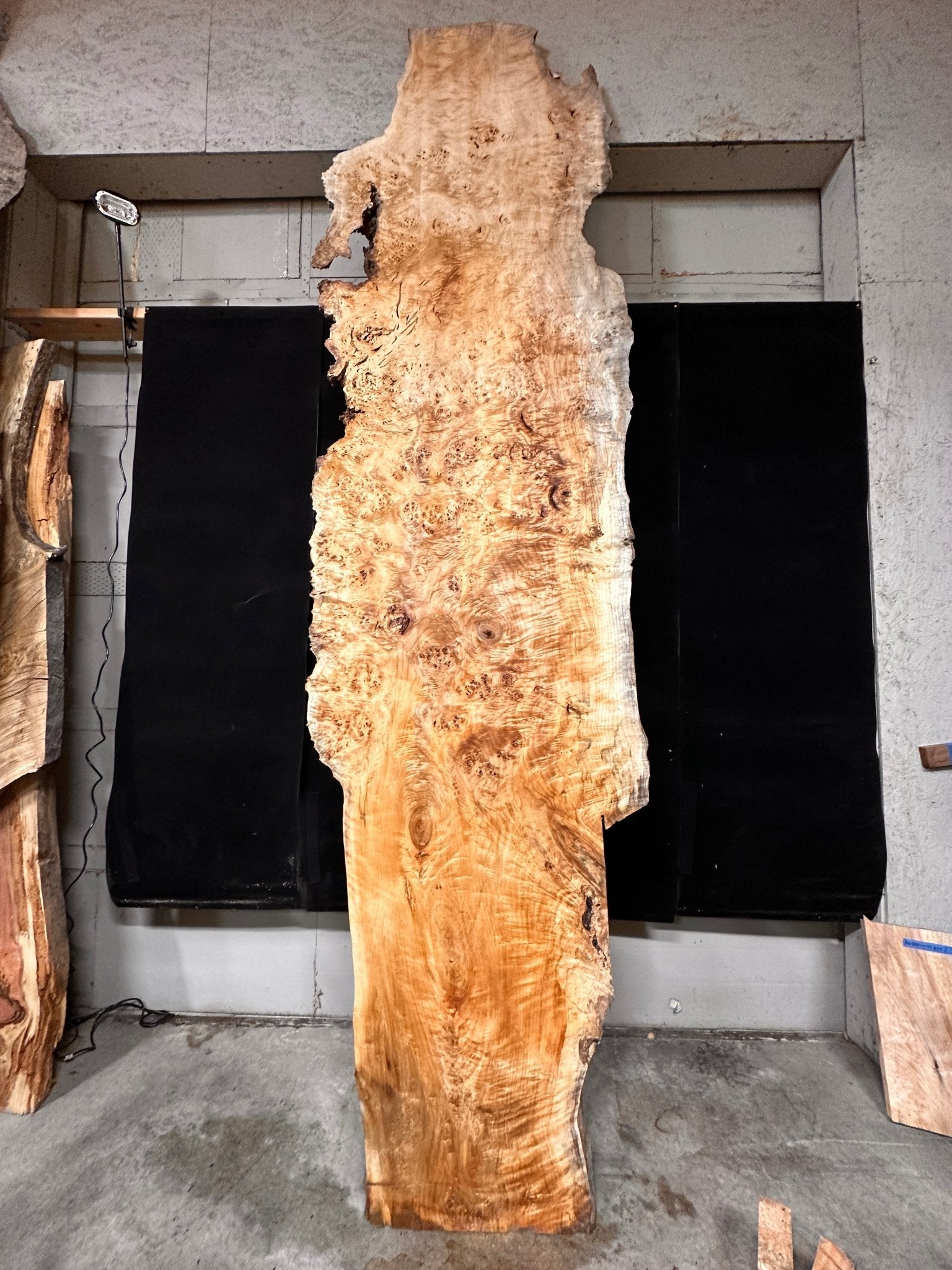 LiveEdge Mappa Burl | Mappa Burl | Double Diamond | BGDDMB665