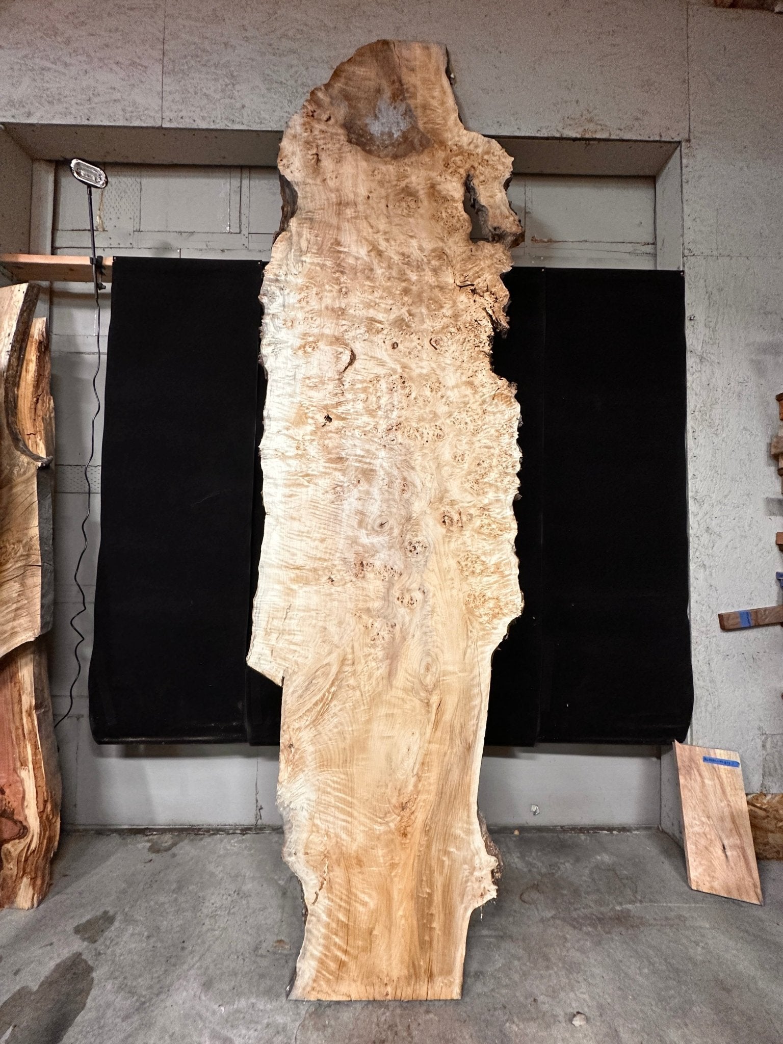 LiveEdge Mappa Burl | Mappa Burl | Double Diamond | BGDDMB666