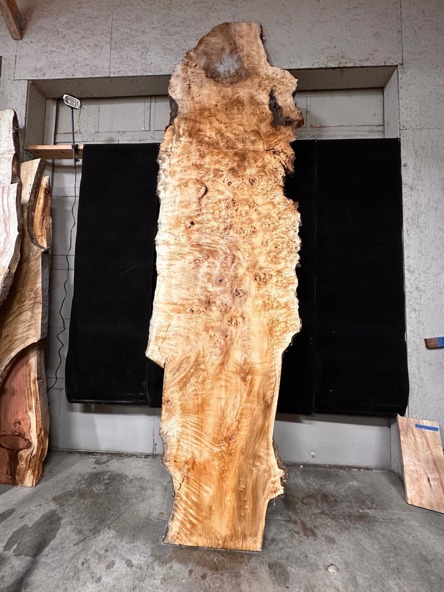 LiveEdge Mappa Burl | Mappa Burl | Double Diamond | BGDDMB666