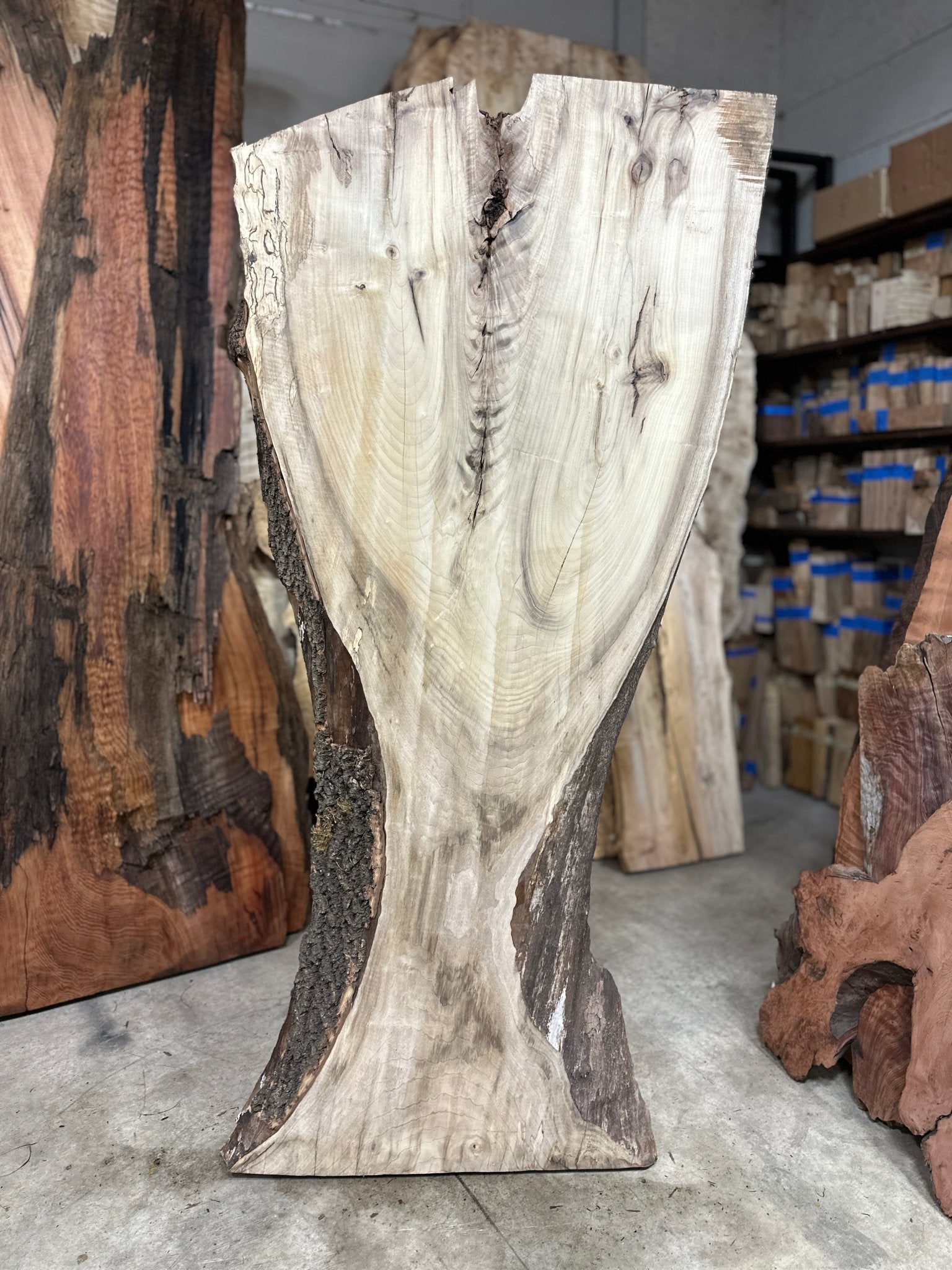 LiveEdge Myrtle | Myrtle | Double Diamond