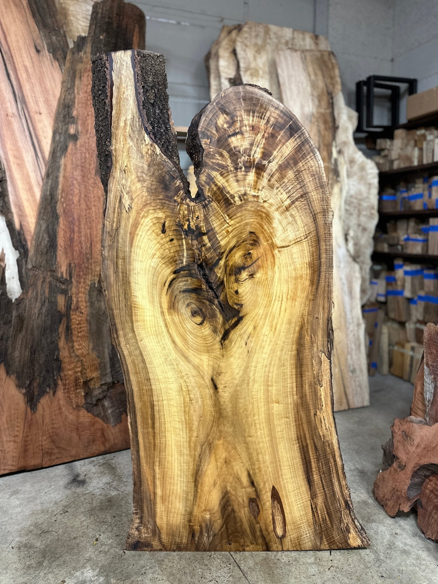 LiveEdge Myrtle | Myrtle | Double Diamond