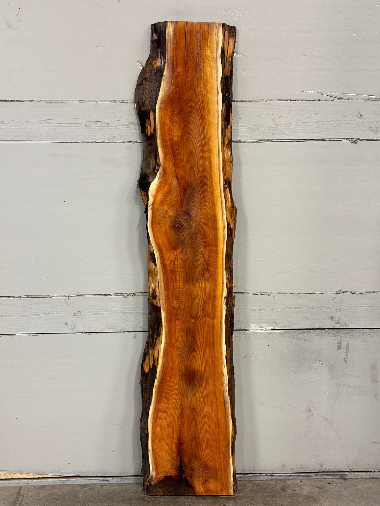 LiveEdge Pacific Yew | Pacific Yew | Adam Luna | BGALYEW684