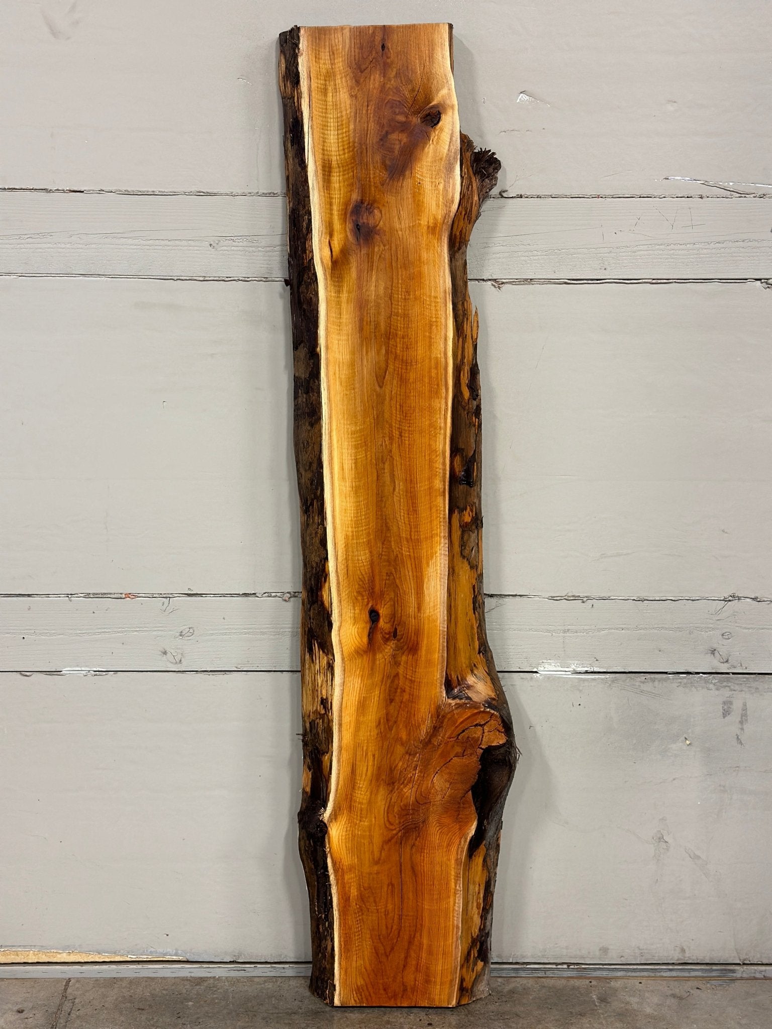 LiveEdge Pacific Yew | Pacific Yew | Adam Luna | BGALYEW688