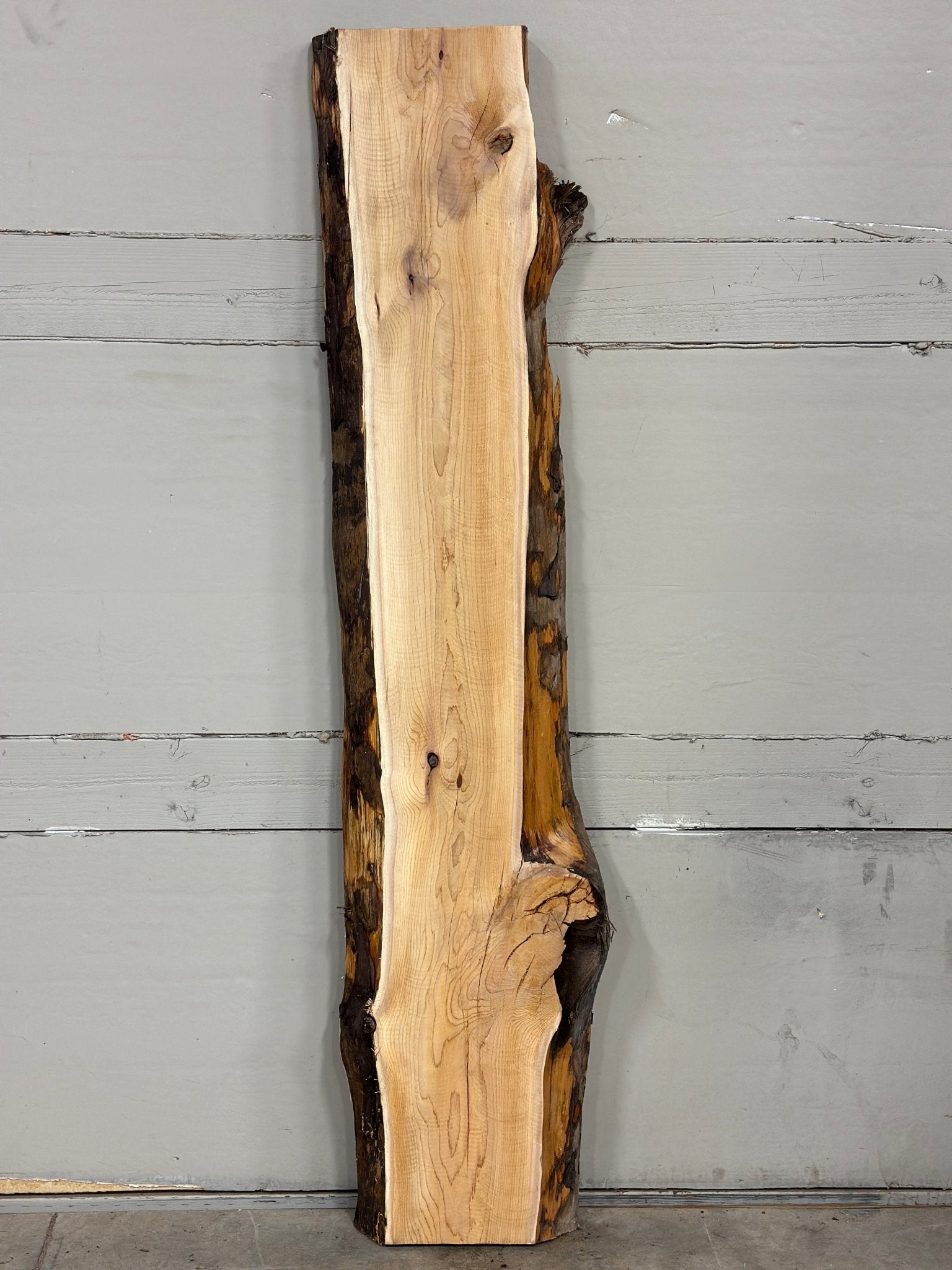 LiveEdge Pacific Yew | Pacific Yew | Adam Luna | BGALYEW688