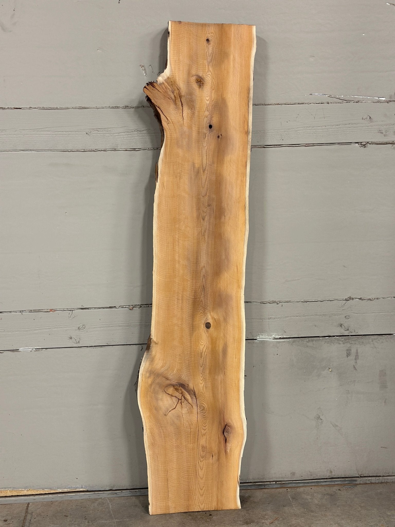 LiveEdge Pacific Yew | Pacific Yew | Adam Luna | BGALYEW688