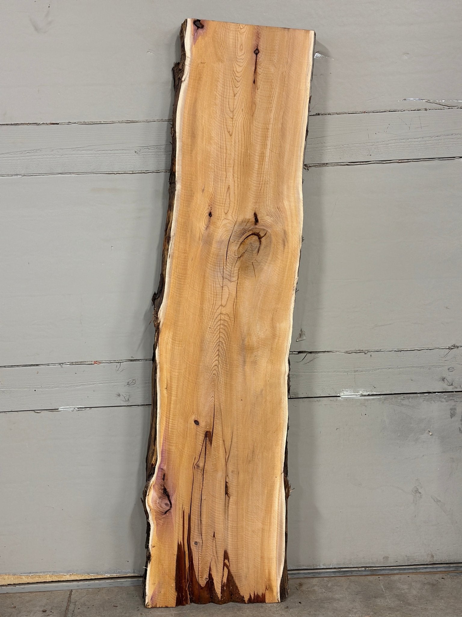 LiveEdge Pacific Yew | Pacific Yew | Adam Luna | BGALYEW689