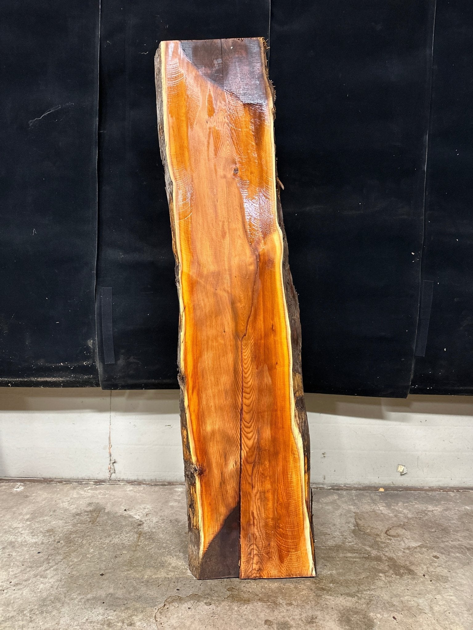 LiveEdge Pacific Yew | Pacific Yew | Adam Luna | BGALYEWCS.866