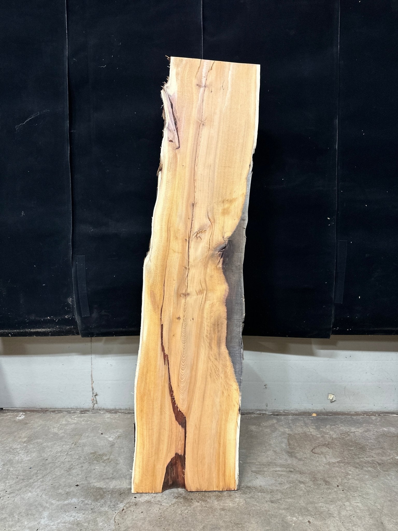 LiveEdge Pacific Yew | Pacific Yew | Adam Luna | BGALYEWCS.866