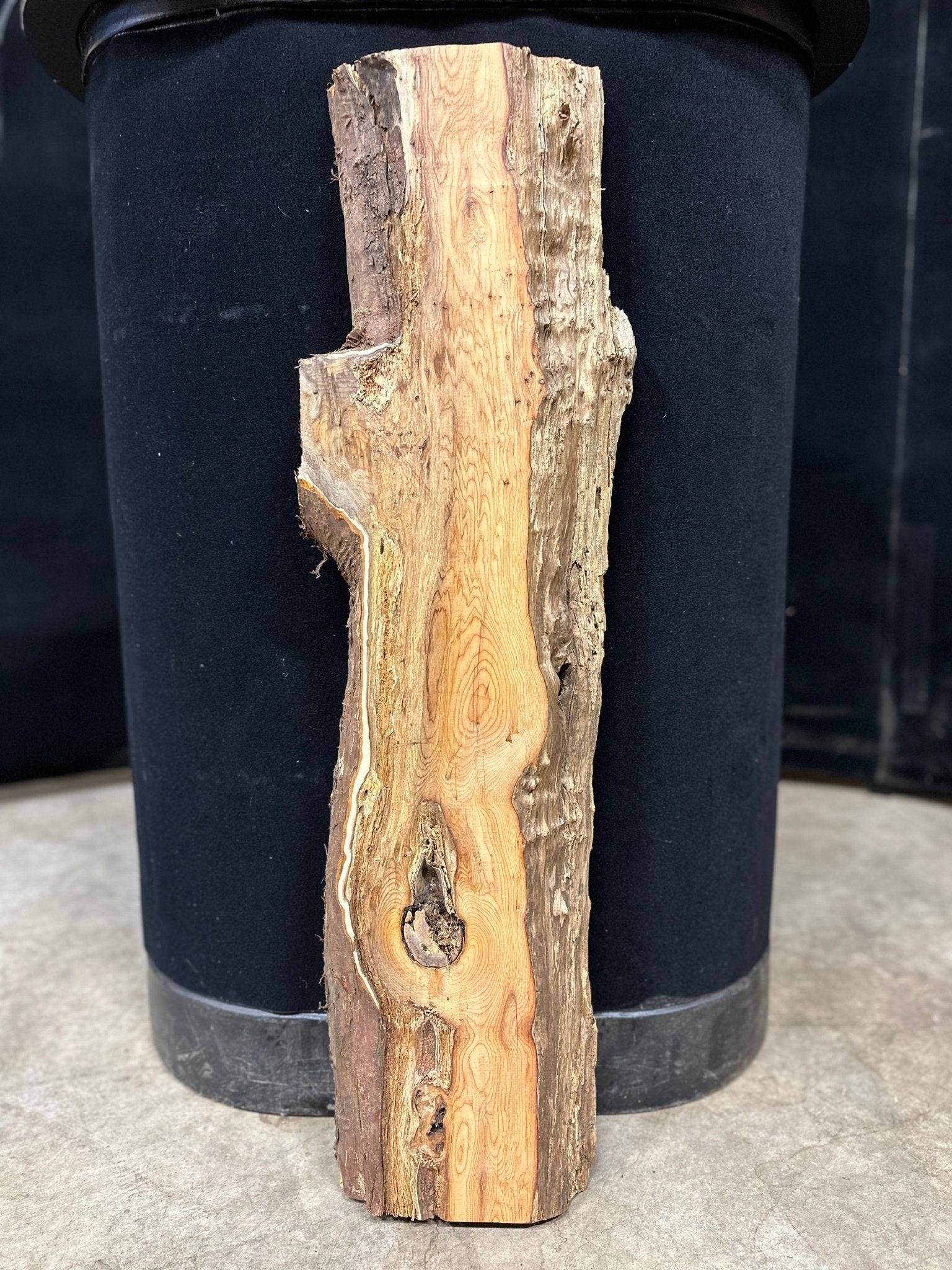 LiveEdge Pacific Yew | Pacific Yew | Double Diamond | BGDDYEWCS.818