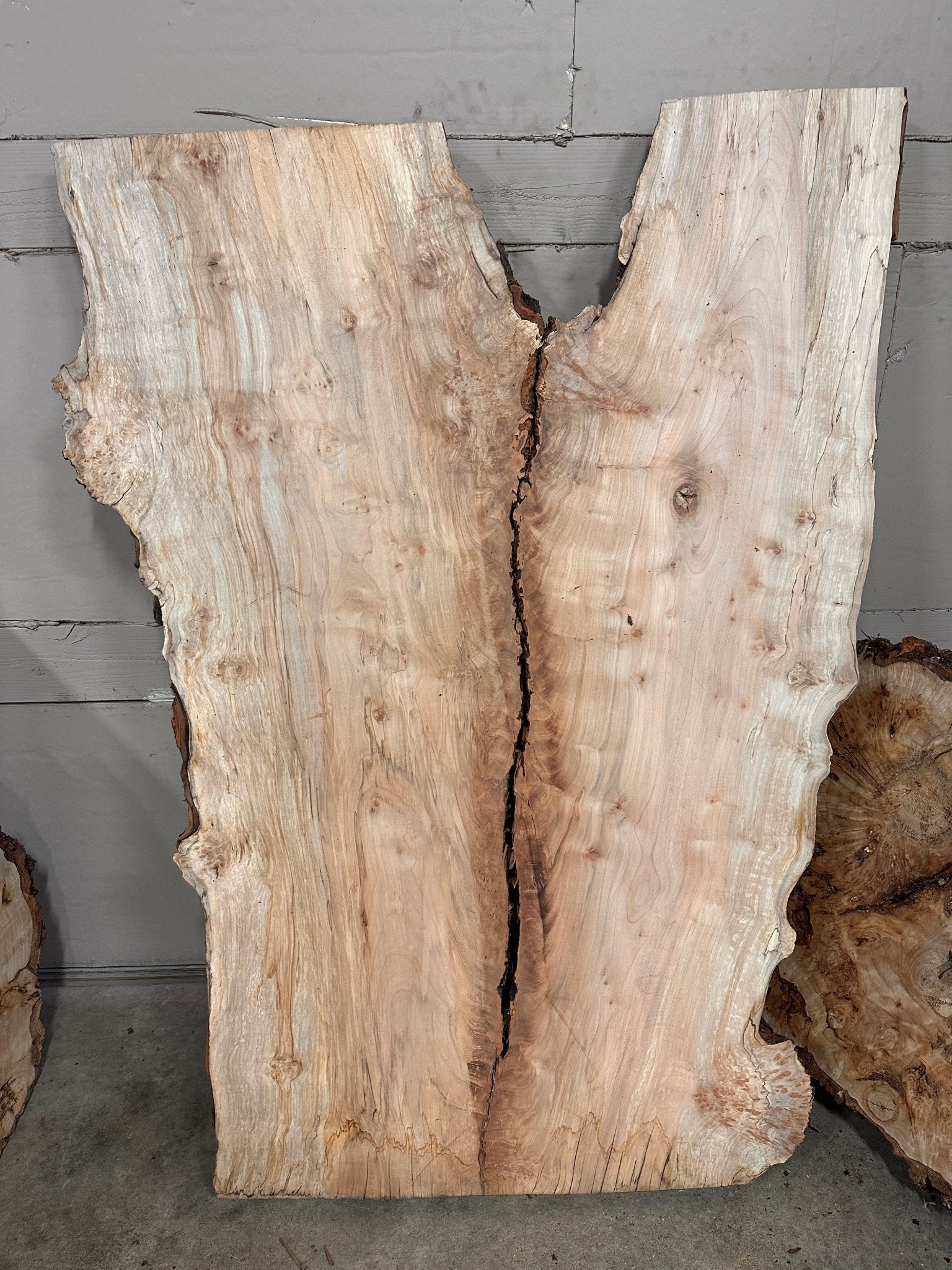 LiveEdge Silver Maple | Black Locust | Double Diamond