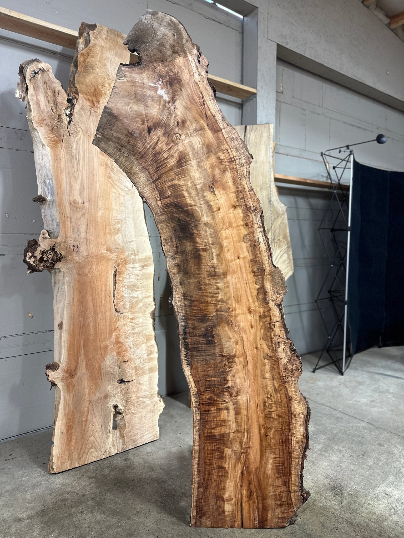 LiveEdge Silver Maple | Myrtle | Double Diamond