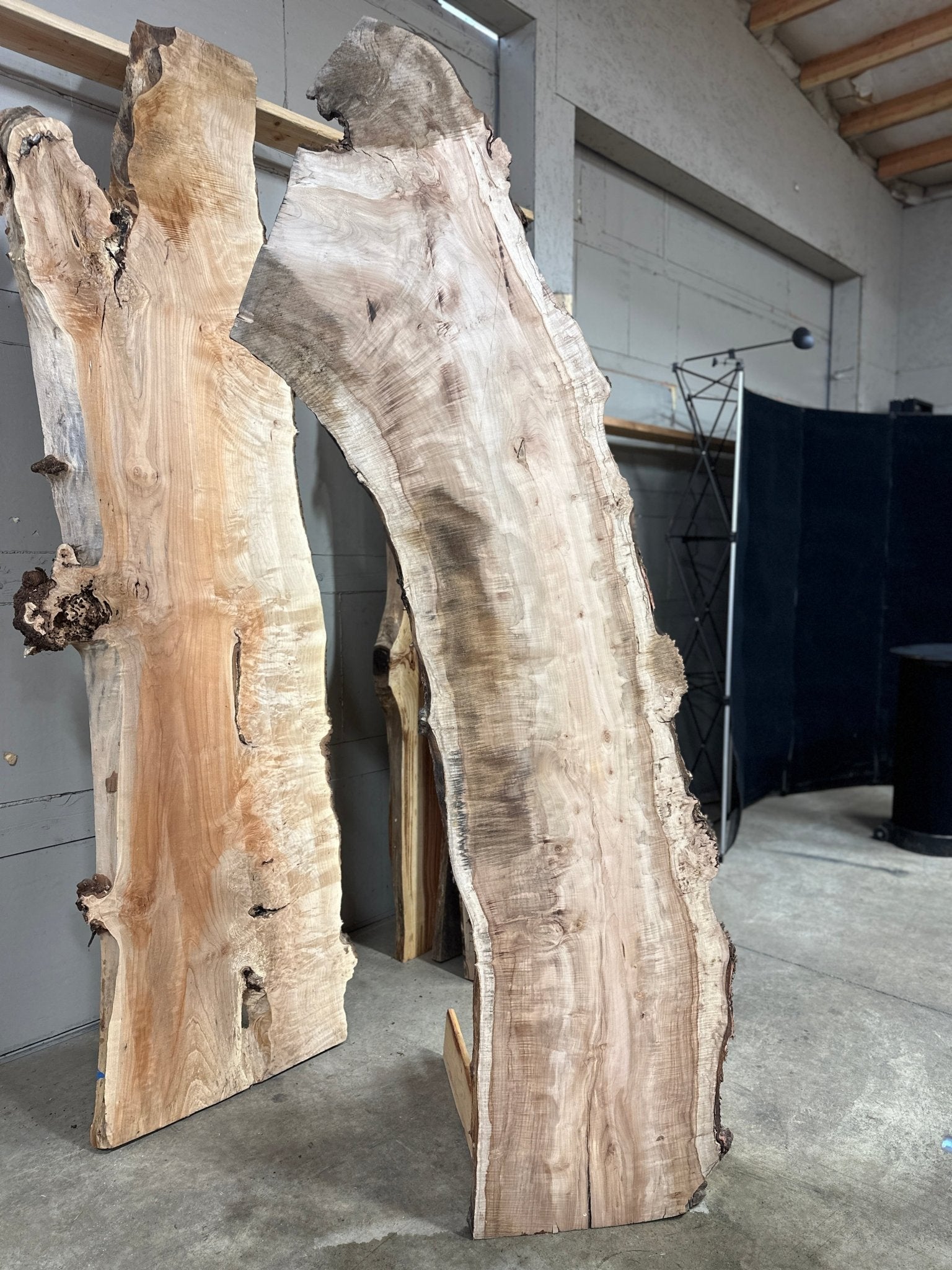 LiveEdge Silver Maple | Myrtle | Double Diamond