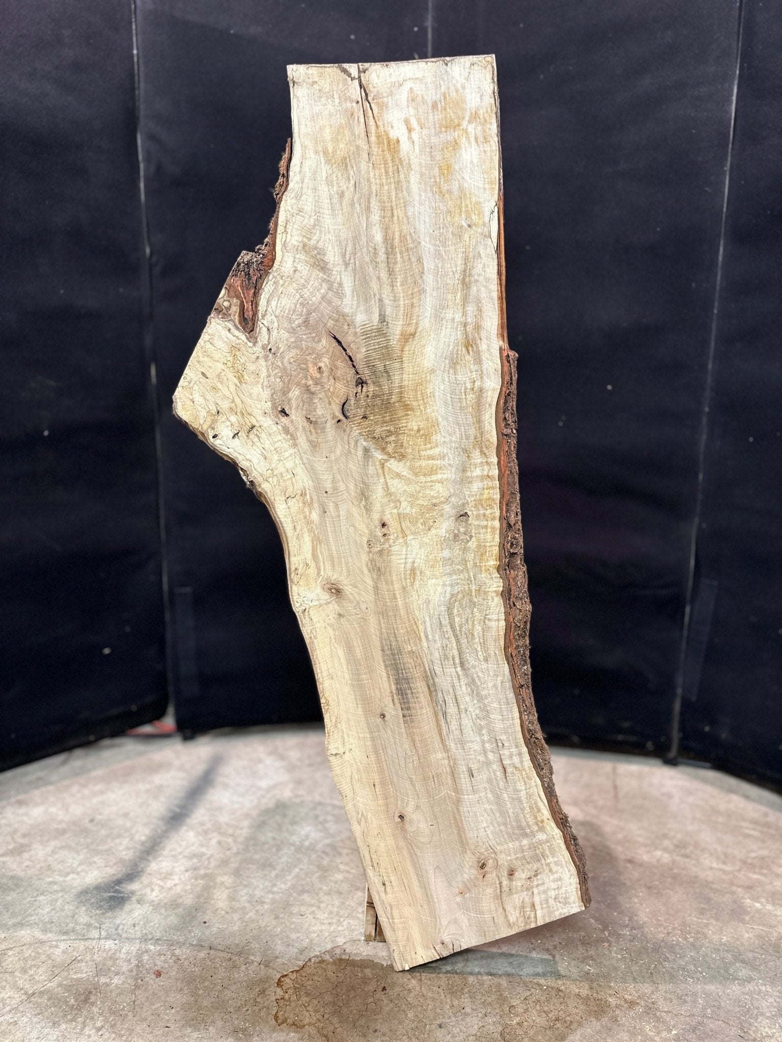 LiveEdge Silver Maple | Silver Maple | Double Diamond