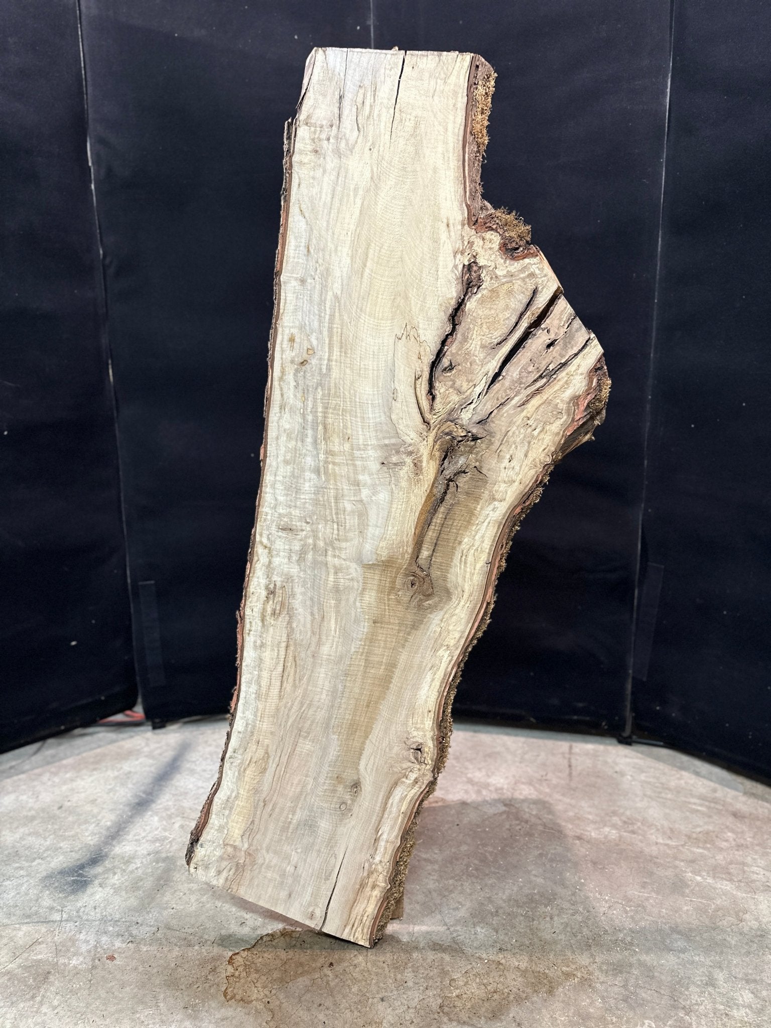 LiveEdge Silver Maple | Silver Maple | Double Diamond