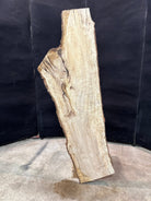 LiveEdge Silver Maple | Silver Maple | Double Diamond