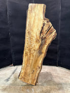 LiveEdge Silver Maple | Silver Maple | Double Diamond