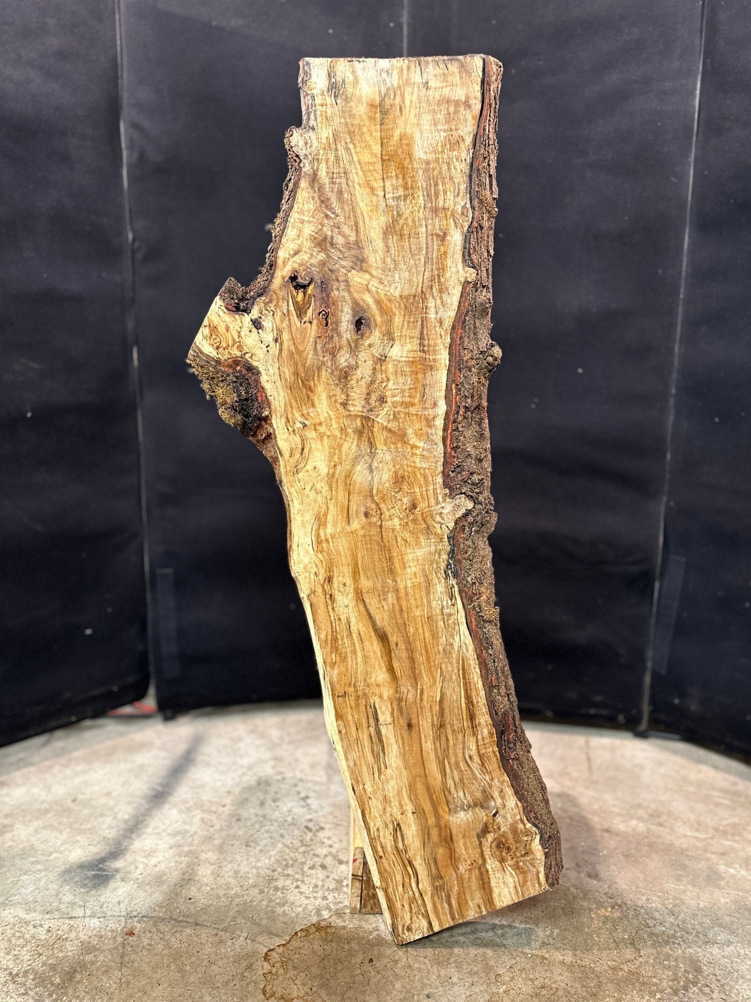 LiveEdge Silver Maple | Silver Maple | Double Diamond