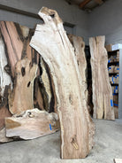 LiveEdge Silver Maple | Silver Maple | Double Diamond