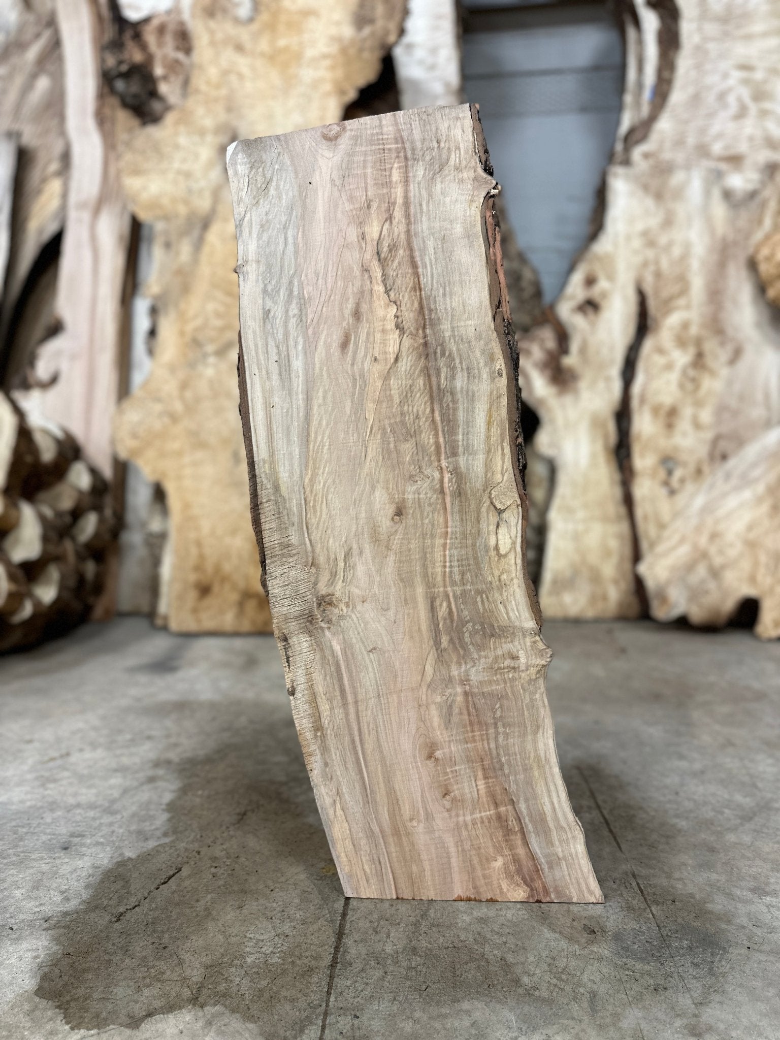 LiveEdge Silver Maple | Silver Maple | Double Diamond