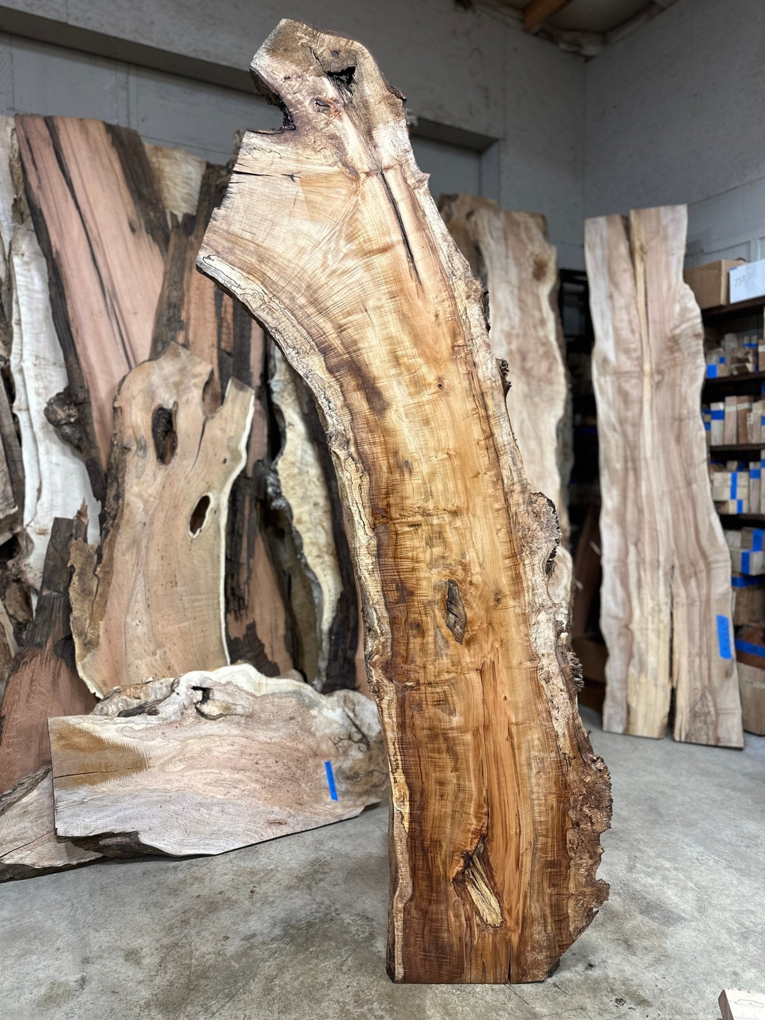 LiveEdge Silver Maple | Silver Maple | Double Diamond