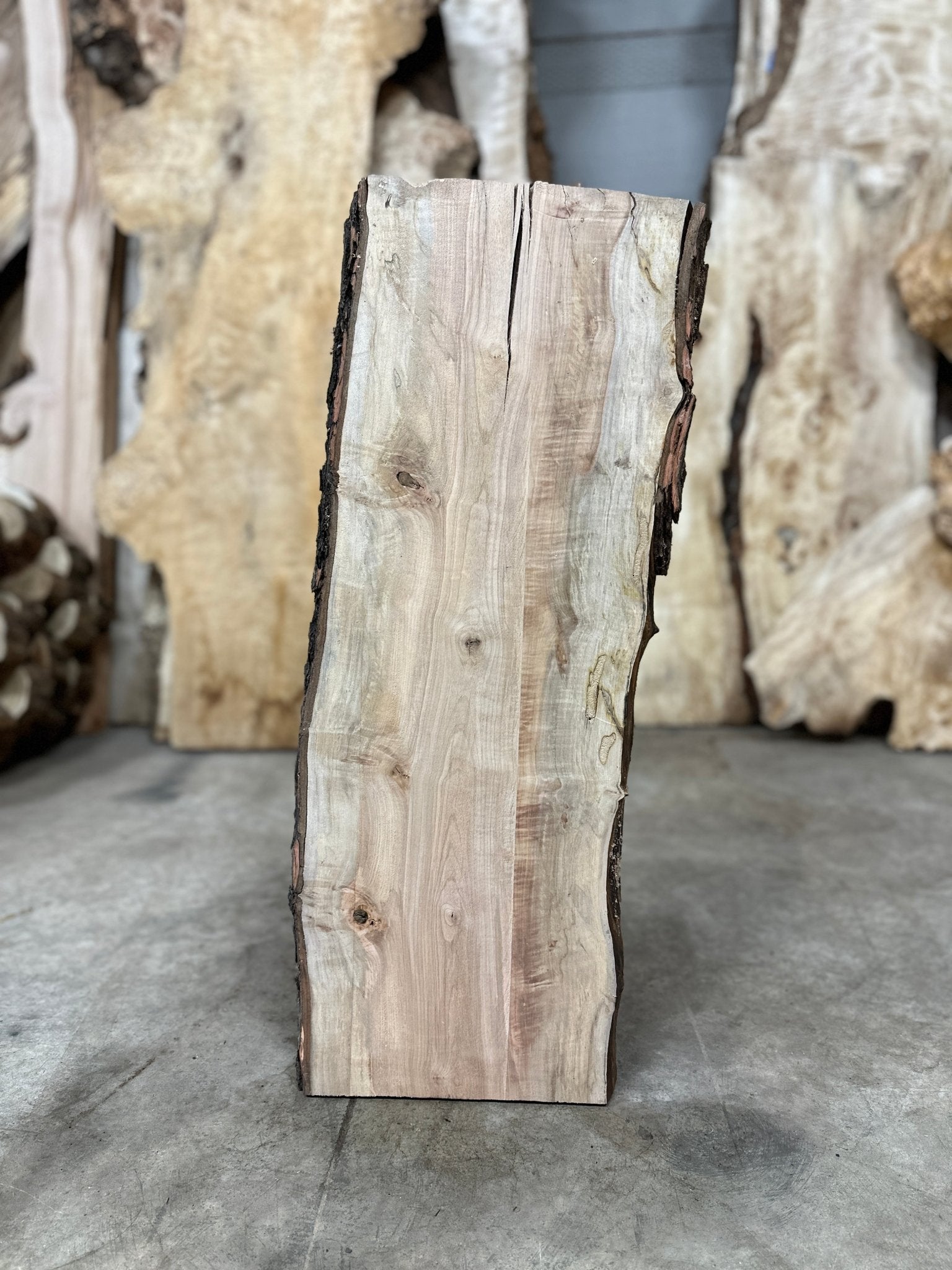 LiveEdge Silver Maple | Silver Maple | Double Diamond