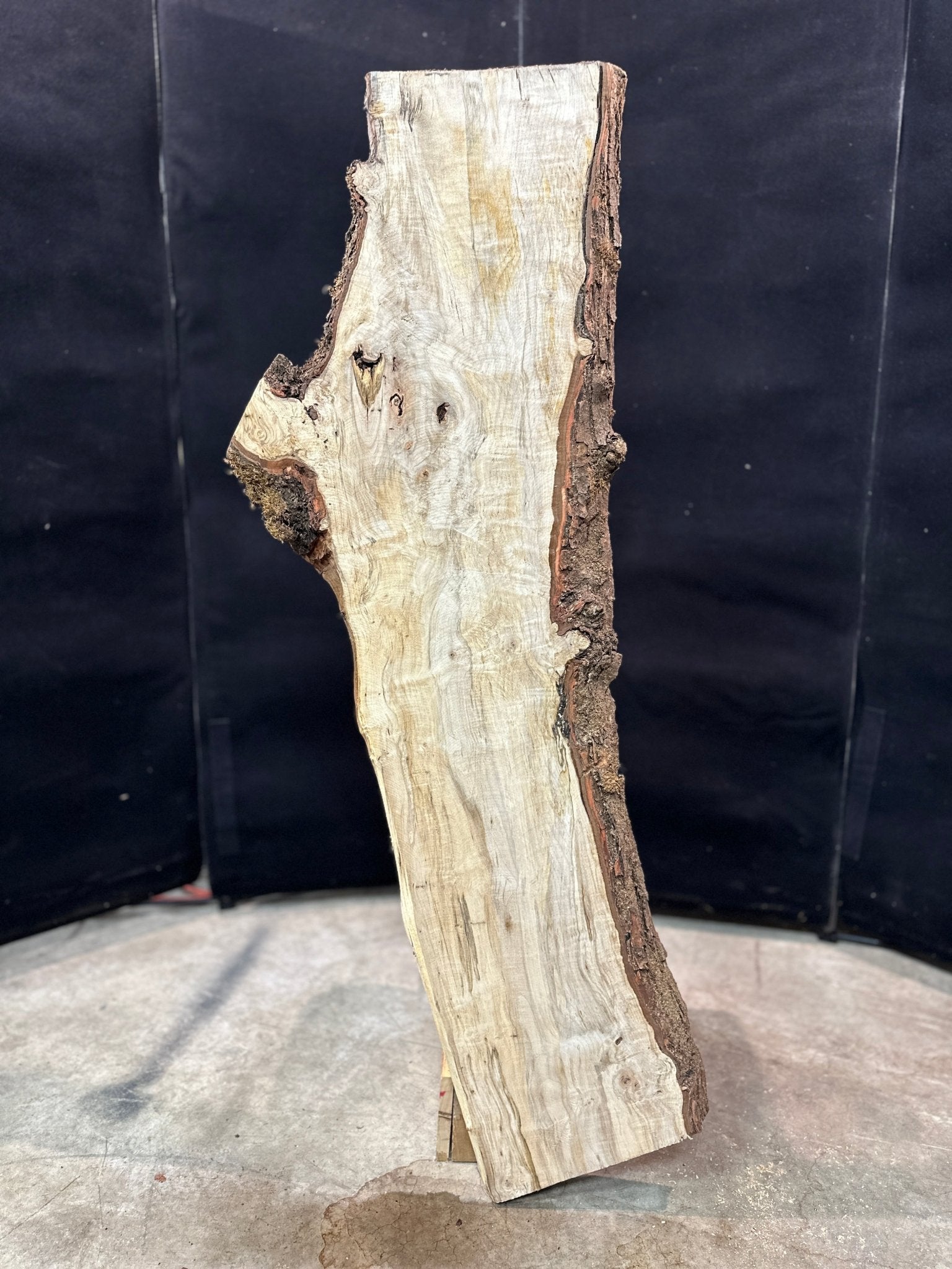 LiveEdge Silver Maple | Silver Maple | Double Diamond