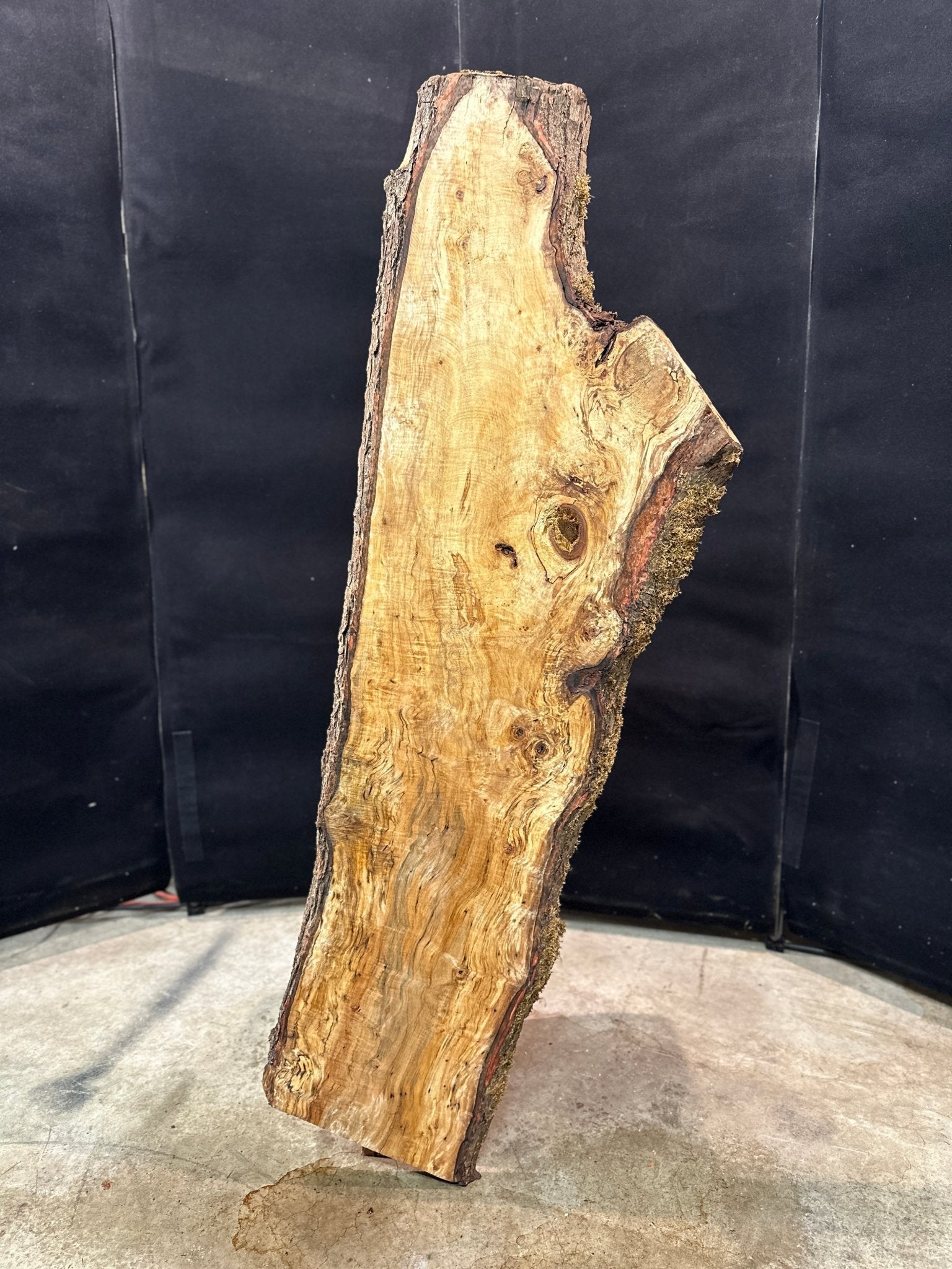 LiveEdge Silver Maple | Silver Maple | Double Diamond