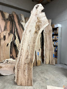 LiveEdge Silver Maple | Silver Maple | Double Diamond