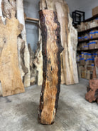 LiveEdge Silver Maple | Silver Maple | Double Diamond