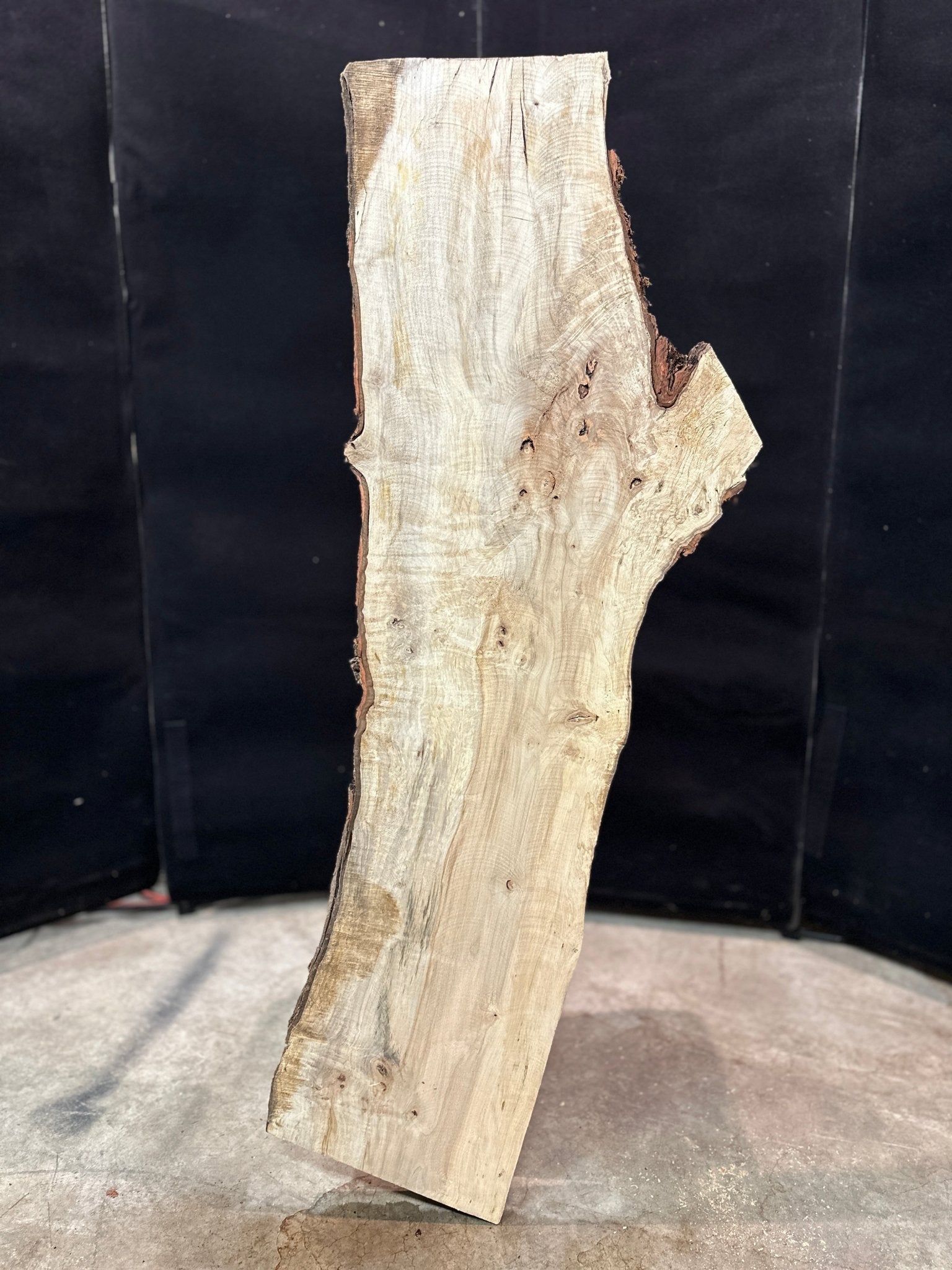LiveEdge Silver Maple | Silver Maple | Double Diamond