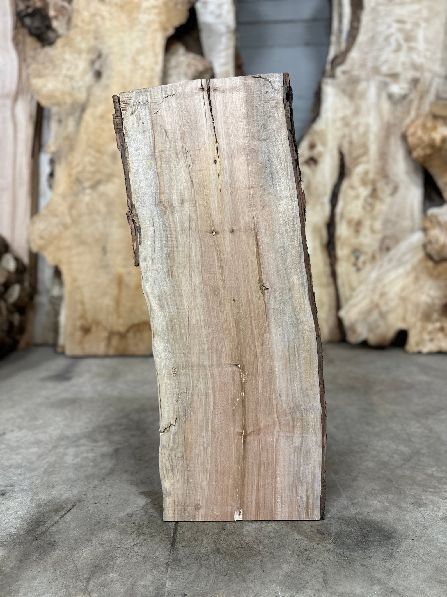LiveEdge Silver Maple | Silver Maple | Double Diamond